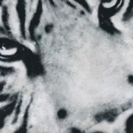 SLEEVELESS TOP/RASH GUARD WHITE TIGER/SNOW LEOPARD