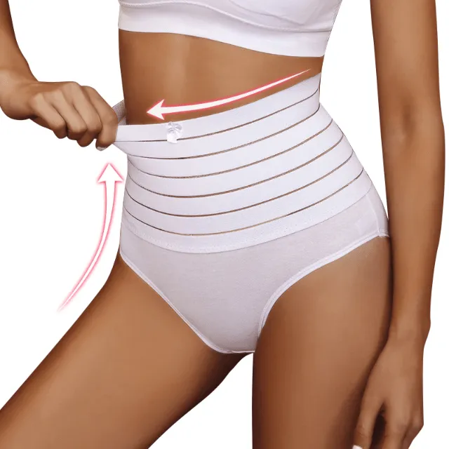 Women High Waist Shaping Brief With Waist Bands